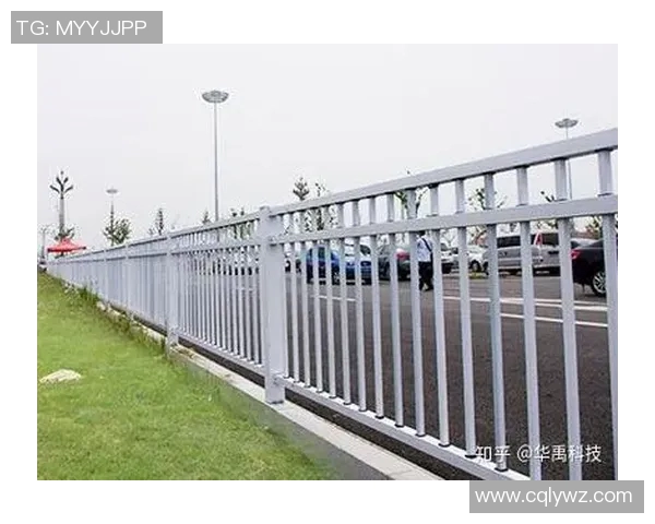 交通护栏在城市安全管理中的重要作用与发展趋势分析